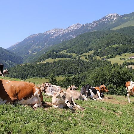 Albergo Alpino Da Tullio Avio Dış mekan fotoğraf