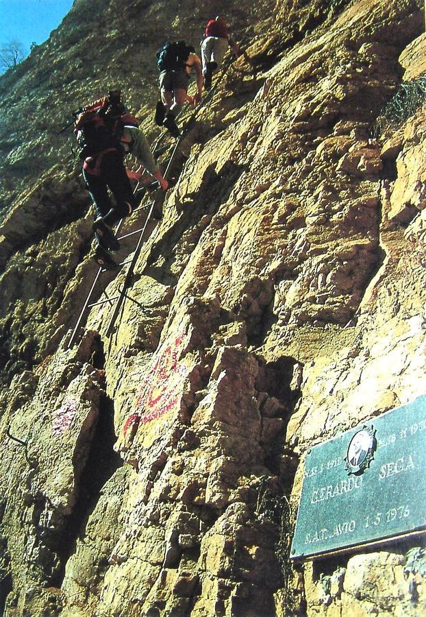 Albergo Alpino Da Tullio Avio Dış mekan fotoğraf